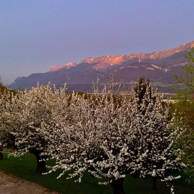 Au calme avec vue magnifique à Saint Maximin - Appartement 1 Chambre - 25