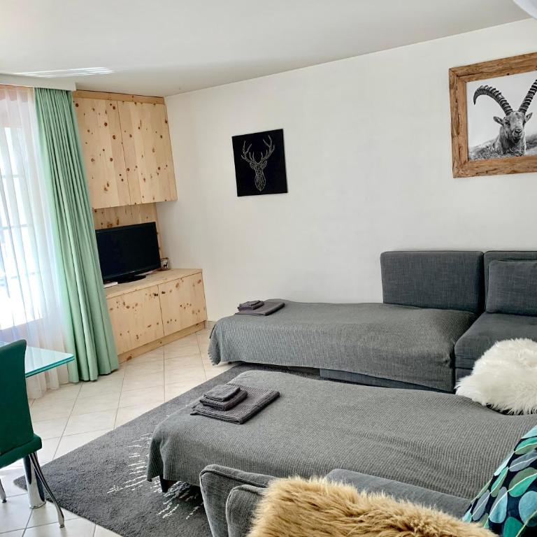 Holiday Apartment Gian - close to the Kongresshaus, the ice hockey stadium, cross-country skiing, the Eau-la-la indoor pool and wellness, large supermarket, 2 bus stops, with an indoor garage and fully equipped - Apartment mit 1 Schlafzimmer - 47