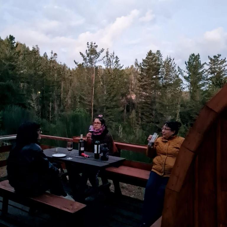 Cabaña Refugio Sauna Spa El Arrayan Casablanca Valdivia - Chalet de 2 dormitorios - 25