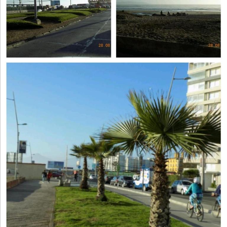 Departamento Serena, Portal pacífico III, Sector el Faro a 400 metros del mar - Three-Bedroom Apartment - 13