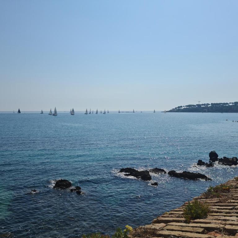 SPLENDIDE 3 PIECES VUE MER - Appartamento - 47