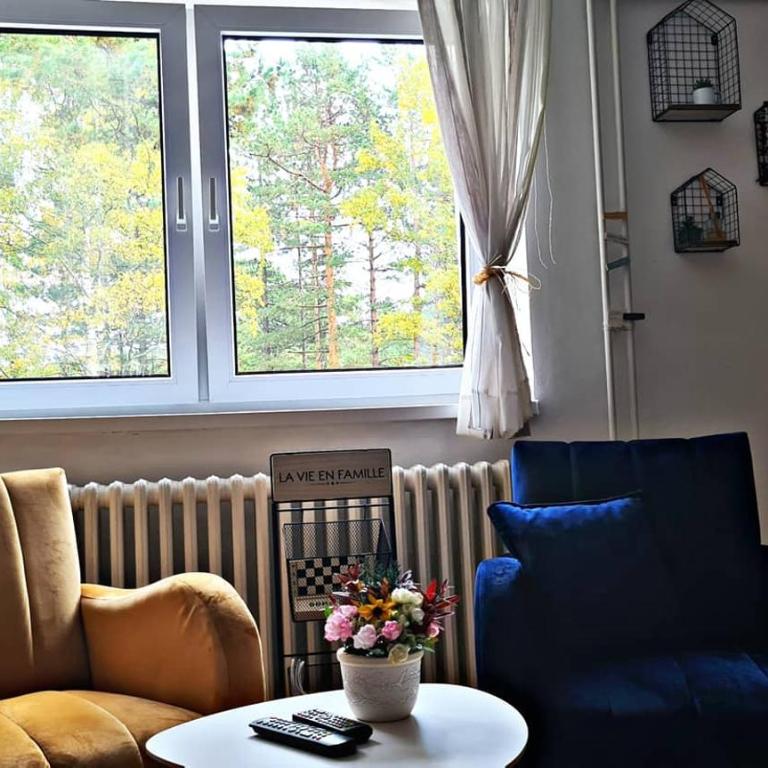 Apartman Tripković - Apartman sa 1 Spavaćom Sobom - 19