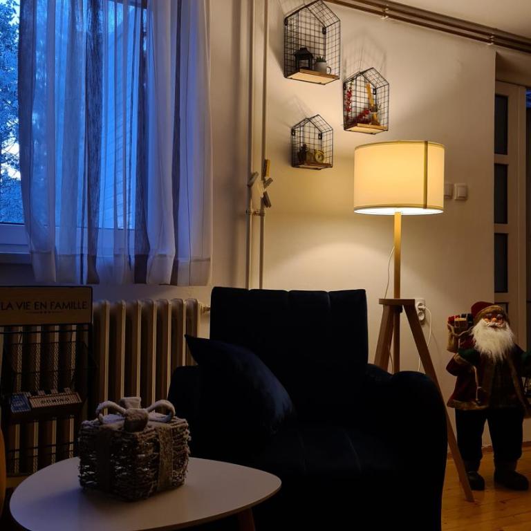 Apartman Tripković - Apartman sa 1 Spavaćom Sobom - 16