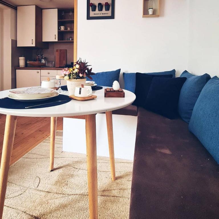 Apartman Tripković - Apartman sa 1 Spavaćom Sobom - 12