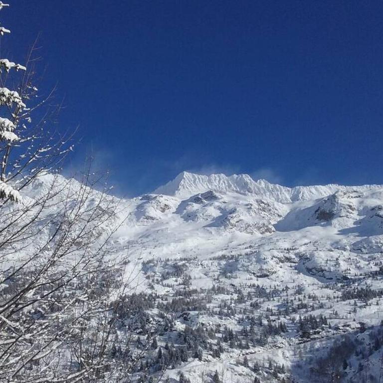 Rustic & A Chalet 'Le Sert du Grey - Vaujany - Chalet 3 Chambres - 3