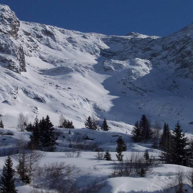 Rustic & A Chalet 'Le Sert du Grey - Vaujany - Chalet 3 Chambres - 12