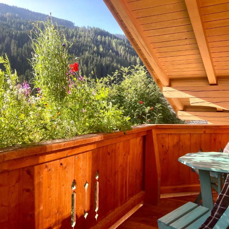Haus Sonnleiten - Studio mit Bergblick - 3