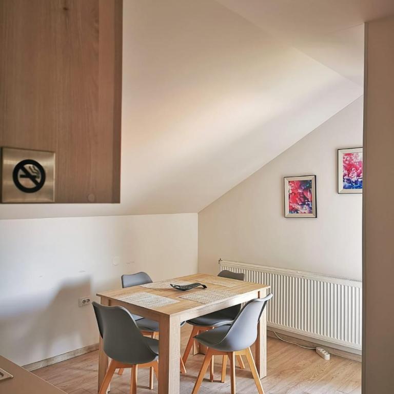 Apartman Ananas Banja Luka centar bolnica besplatan parking - Apartman sa 2 Spavaće Sobe - 10