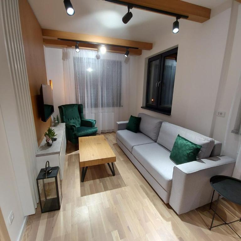 Apartman Djordje-vila Montana - Apartman sa 1 Spavaćom Sobom - 21