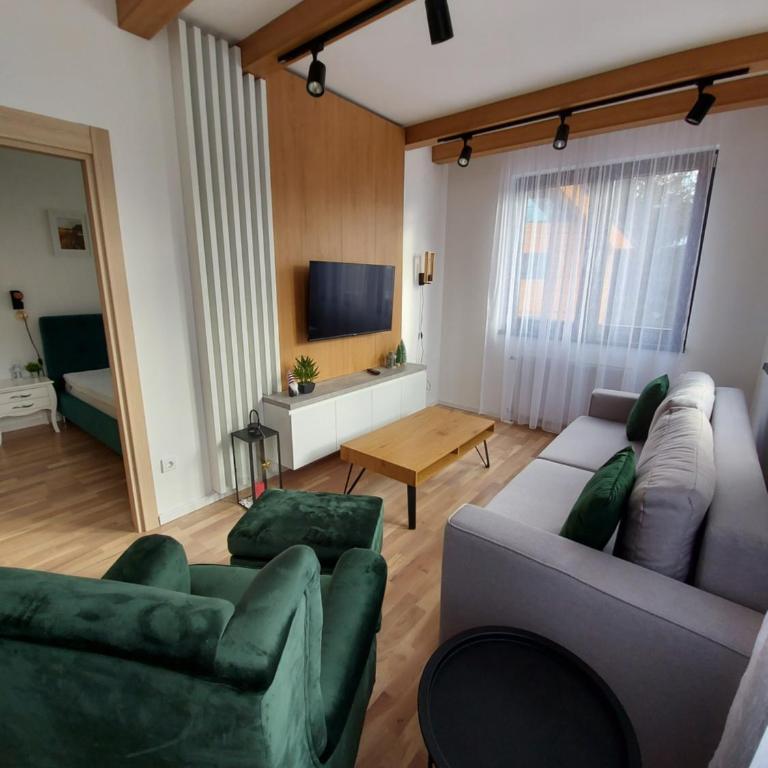 Apartman Djordje-vila Montana - Apartman sa 1 Spavaćom Sobom - 26