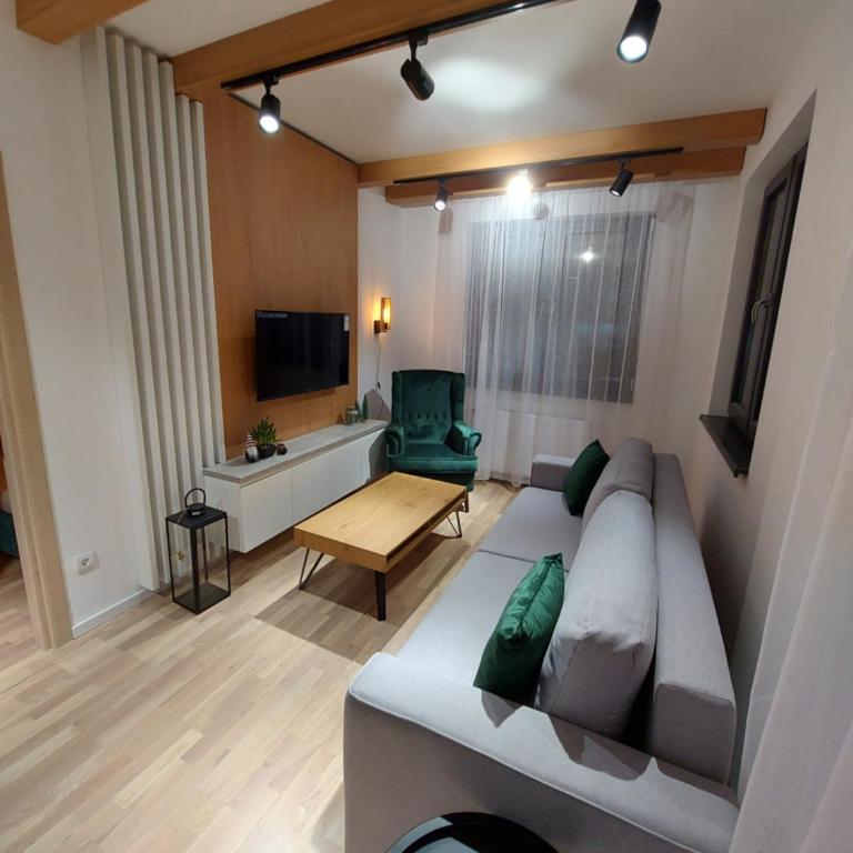 Apartman Djordje-vila Montana - Apartman sa 1 Spavaćom Sobom - 22