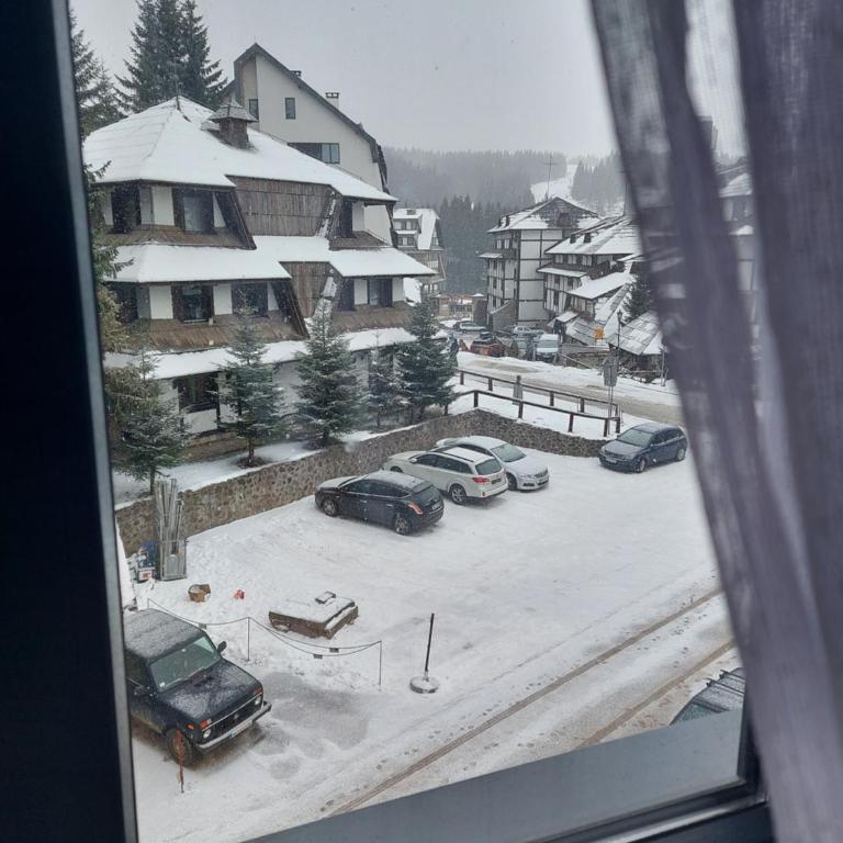 Apartman Djordje-vila Montana - Apartman sa 1 Spavaćom Sobom - 41