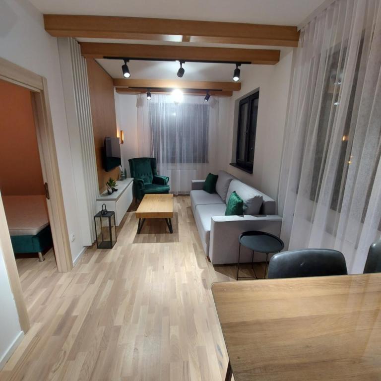 Apartman Djordje-vila Montana - Apartman sa 1 Spavaćom Sobom - 33