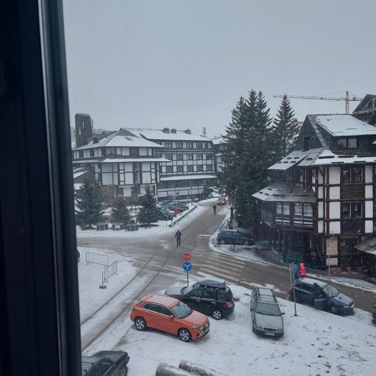 Apartman Djordje-vila Montana - Apartman sa 1 Spavaćom Sobom - 40