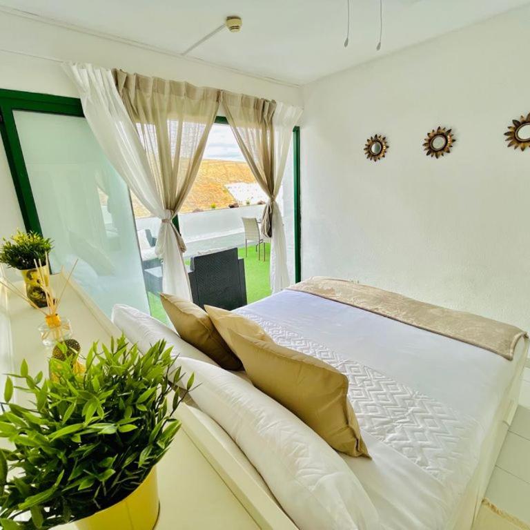 THE MALIBU HOLIDAY CLUB SUITE - PUERTO RICO - Apartamento Superior - 24