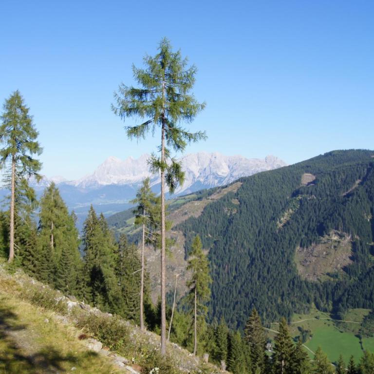 Waldhaus Ahornau Chalet - Haus mit 6 Schlafzimmern - 14