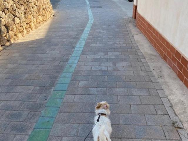 ALTEA BEACHGATE - Acceso Privado a la PLAYA - Estudio - 46