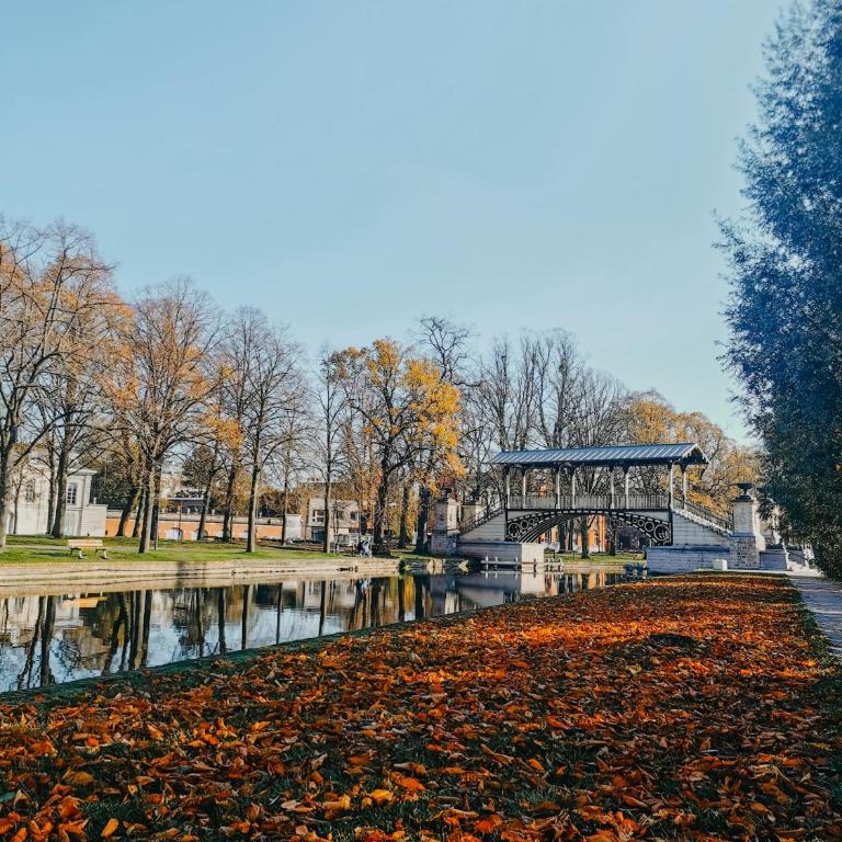 LA CABANE Lille Centre - One-Bedroom Apartment - 8