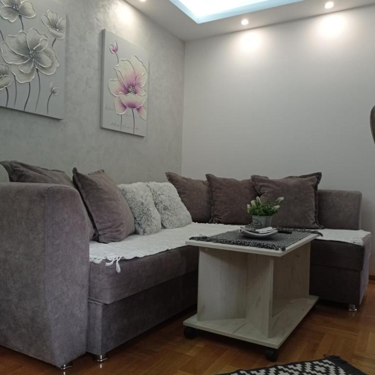 Apartman Harmonija Vrnjačka Banja - Apartman - 33