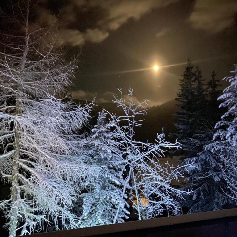 Almhaus Zirbenheim Nicolina - Haus mit 2 Schlafzimmern - 61