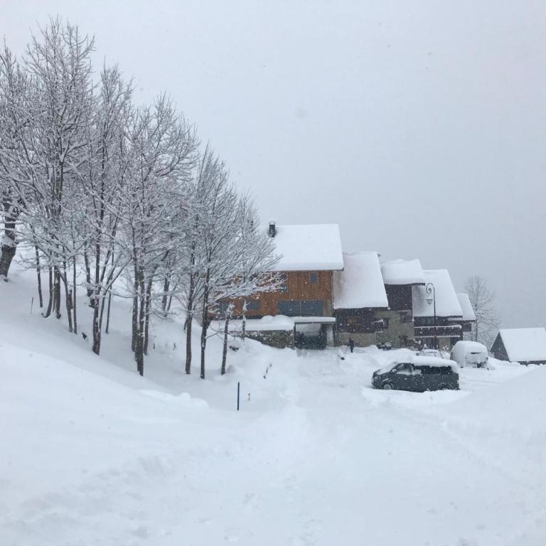 Chalet Lucie LE CHEVAL NOIR - Apartment mit 2 Schlafzimmern - 42