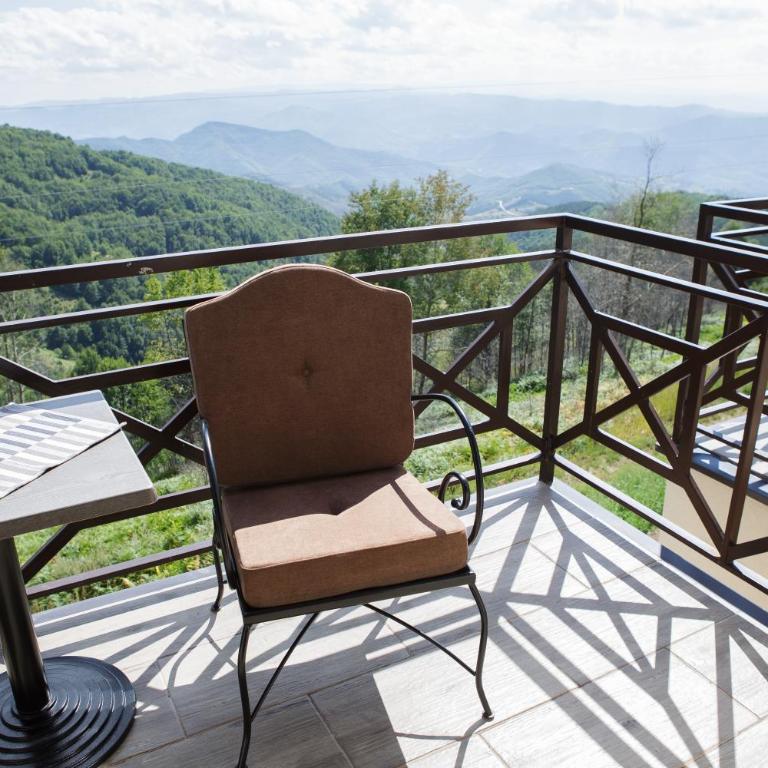 Dvori Sky View E13 Kopaonik - free private parking - One-Bedroom Apartment with Terrace - 21