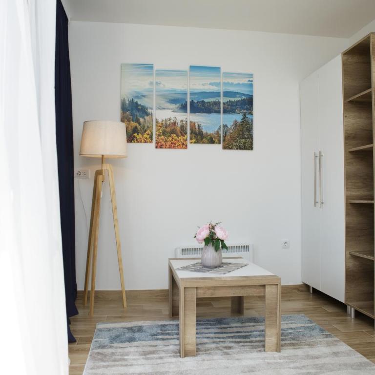 Dvori Sky View E13 Kopaonik - free private parking - One-Bedroom Apartment with Terrace - 22