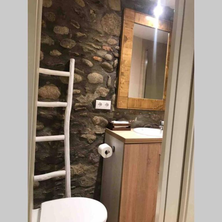Puigcerdá Centro. Acogedor apartament en el pueblo - Apartment mit 1 Schlafzimmer - 14