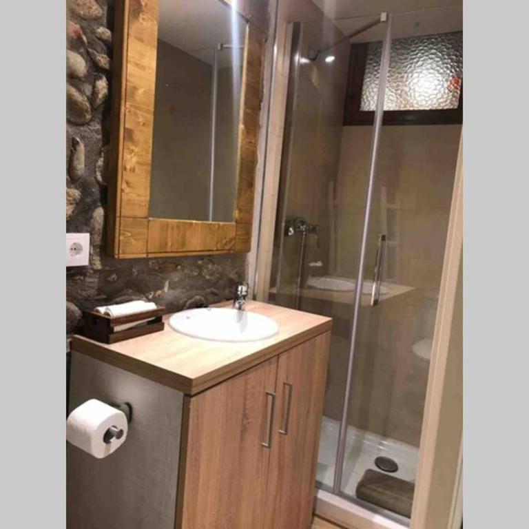 Puigcerdá Centro. Acogedor apartament en el pueblo - Apartment mit 1 Schlafzimmer - 20