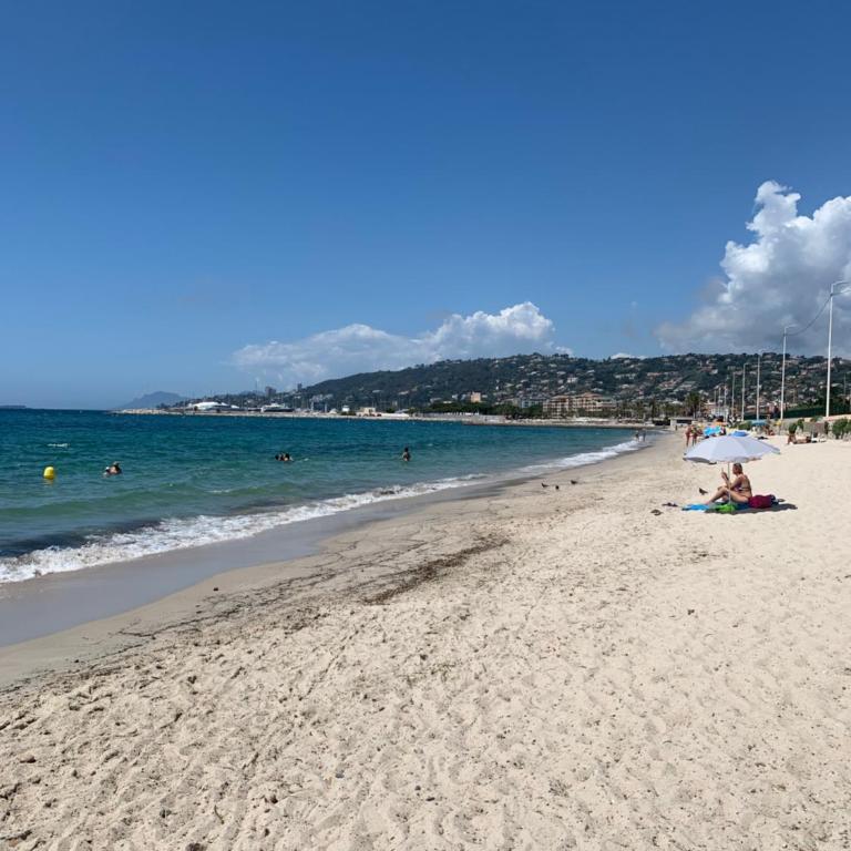 Bord de mer Juan les Pins - Appartement 1 Chambre - 2