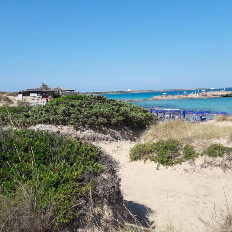 Il Lentisco - Appartamento - 25