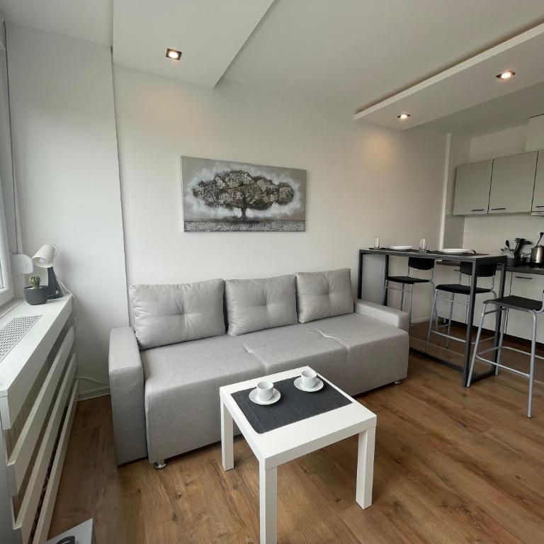 Apartment Vanilla Belgrade - Apartman sa 1 Spavaćom Sobom - 1