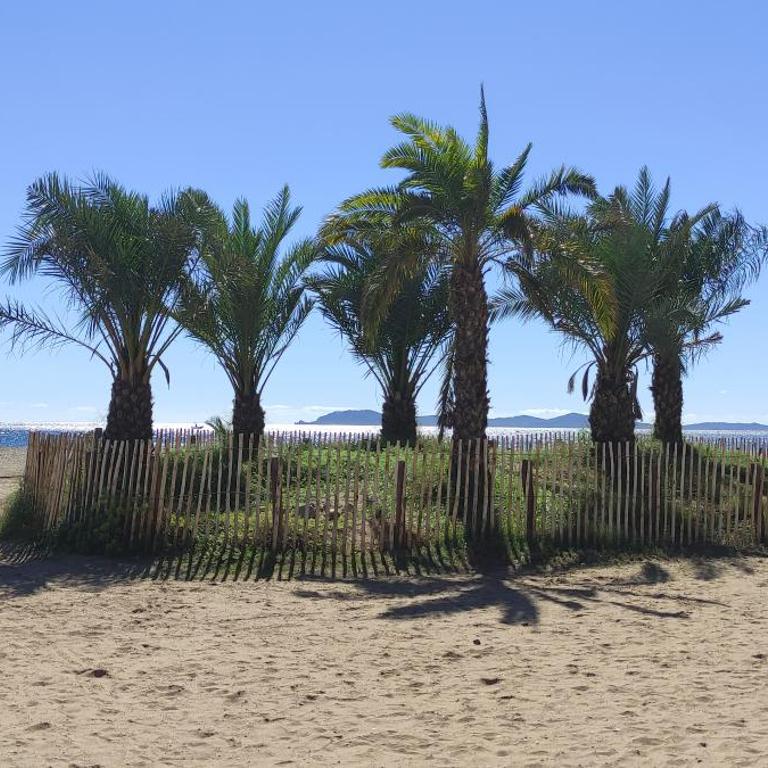 chambres côté plage, aperçu mer, proche aéroport, climatisées et parking gratuit - Chambre Double avec Salle de Bains Commune - 1
