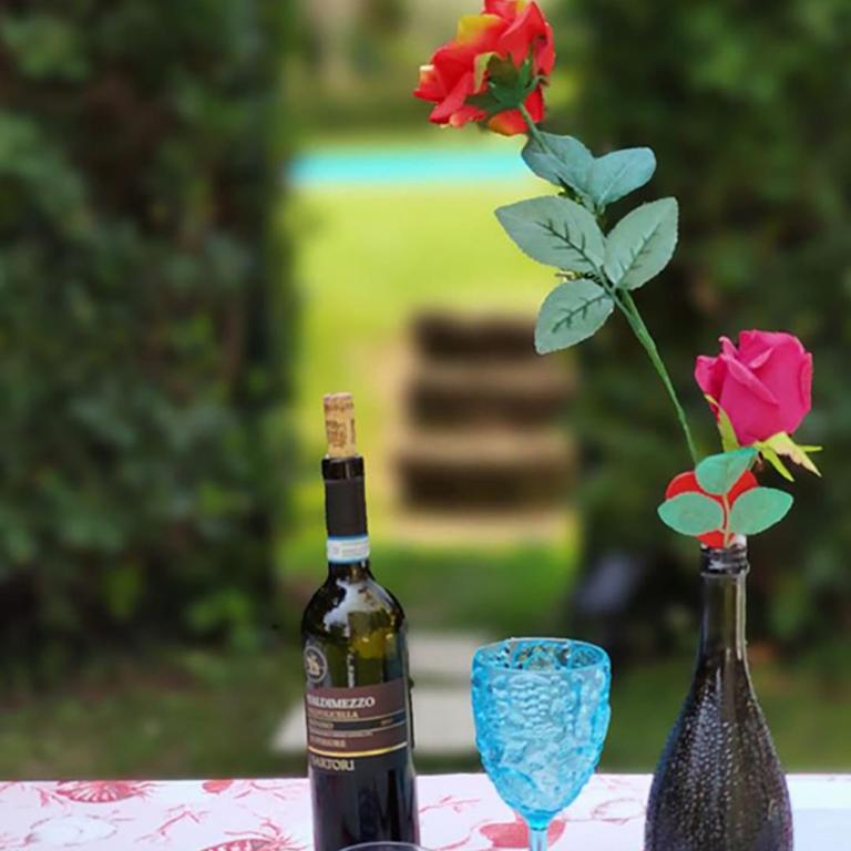 Private Garden Giardino Privato a Bardolino - House Amorino - Two-Bedroom Apartment with Private Garden - 1