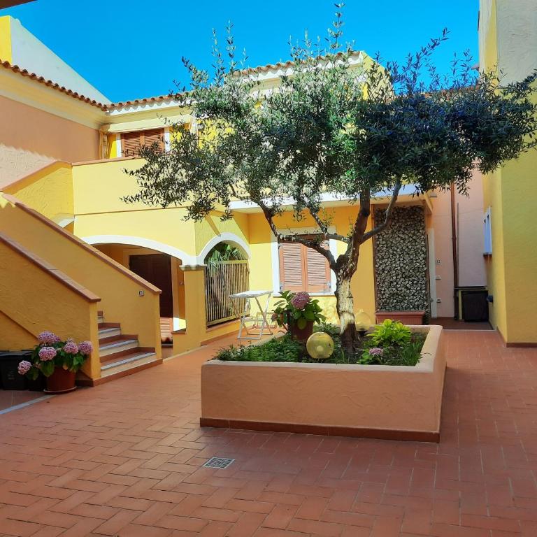 Appartamenti Santa Teresa Gallura - Appartamento Standard con 1 Camera da Letto - 1