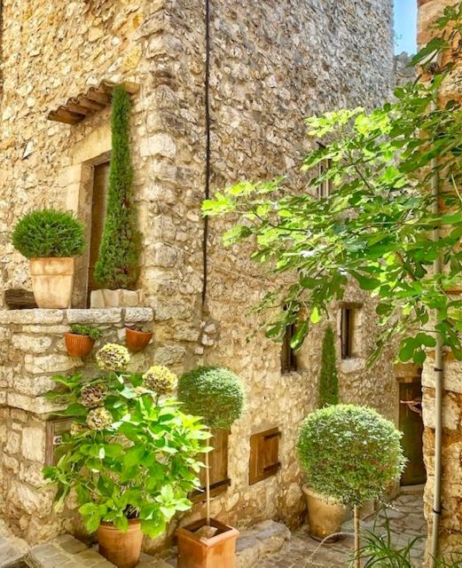 Guest App'Art - Appartement - 31