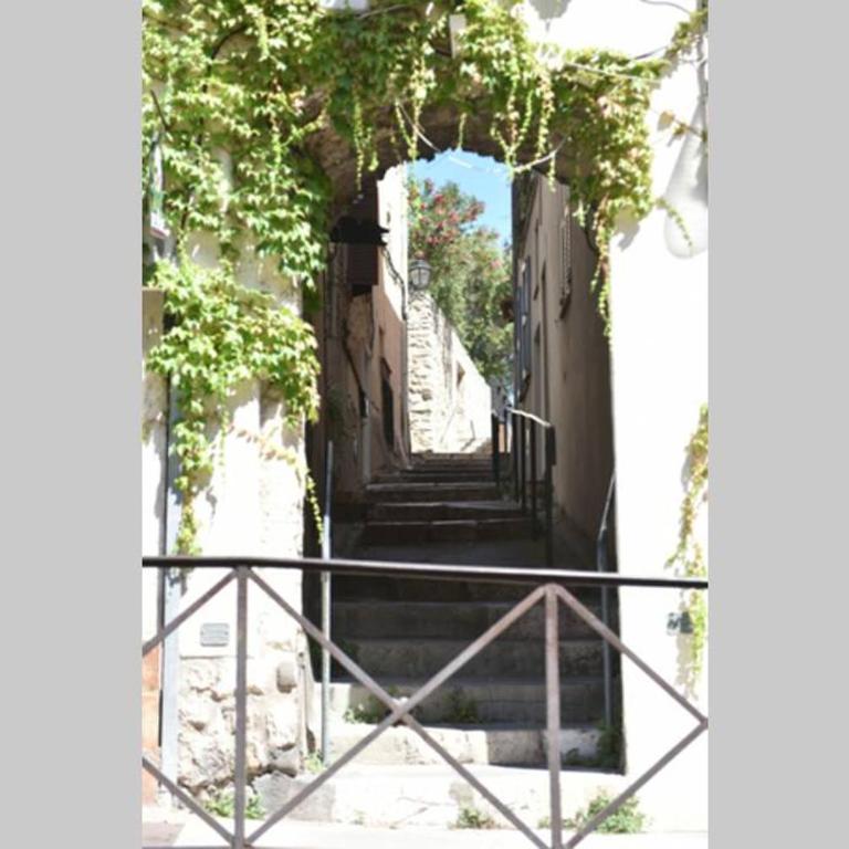 PICASSO by the sea Luxurious design house sea view old Antibes for 6 - Villa 3 Chambres - 5