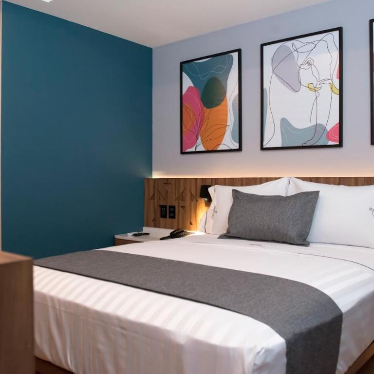 Hotel Flamencos Centro Histórico - Habitación Superior 1 cama doble - 5