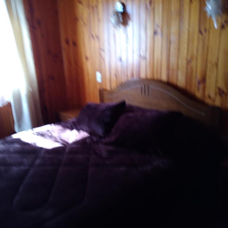 Hostal Gomero - Family Studio - 2