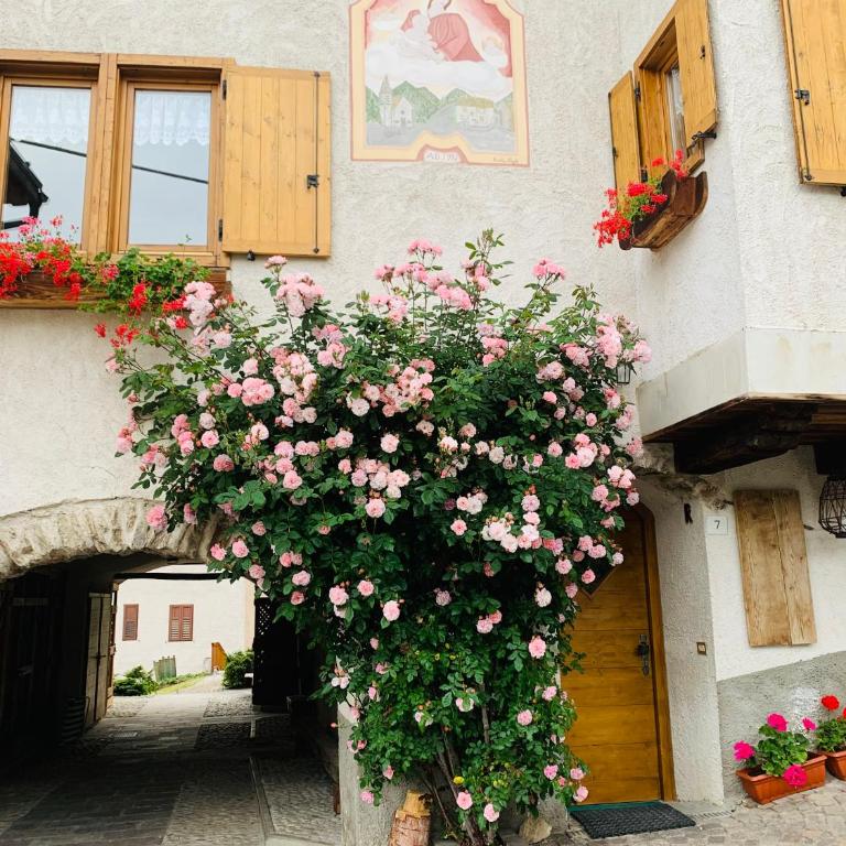 Coriva Homes - Termenago - Ferienhaus - 23