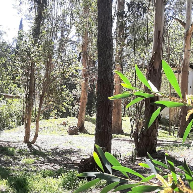 Cabañas Monoambiente La Foresta, en Mar de las Pampas - Casa con 1 dormitorio - 8