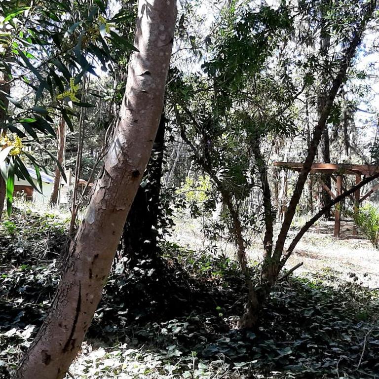 Cabañas Monoambiente La Foresta, en Mar de las Pampas - Casa con 1 dormitorio - 9