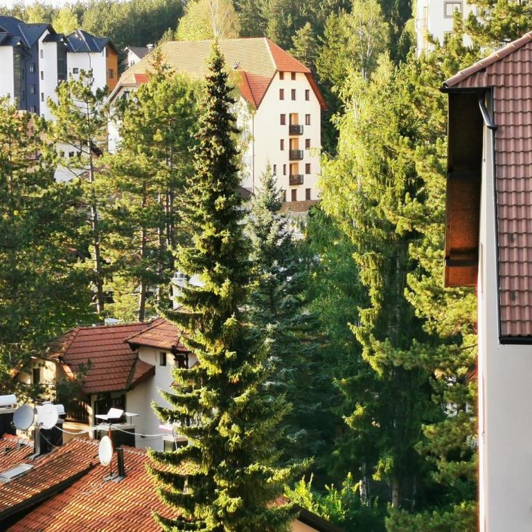 Zlatibor, centar, Villa Bella - Apartman sa 1 Spavaćom Sobom - 3