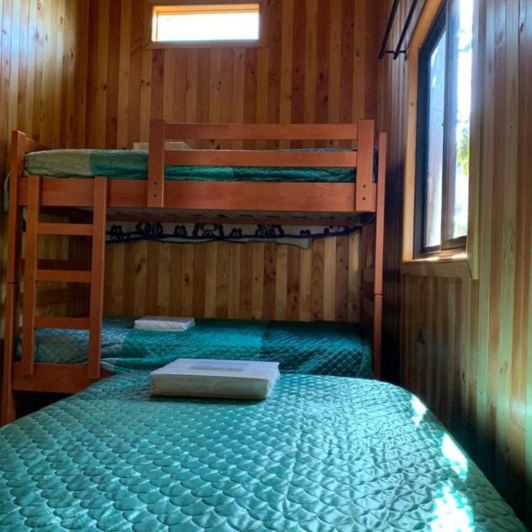 Cabañas gonzalez caniupan - Two-Bedroom Apartment - 9