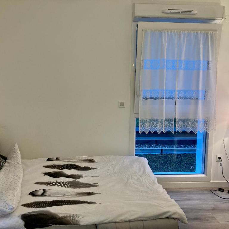 Appartement Muse proche Gare - Appartement 1 Chambre - 2