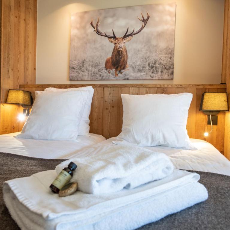 Chalet le Blue Moon - Chalet - 33