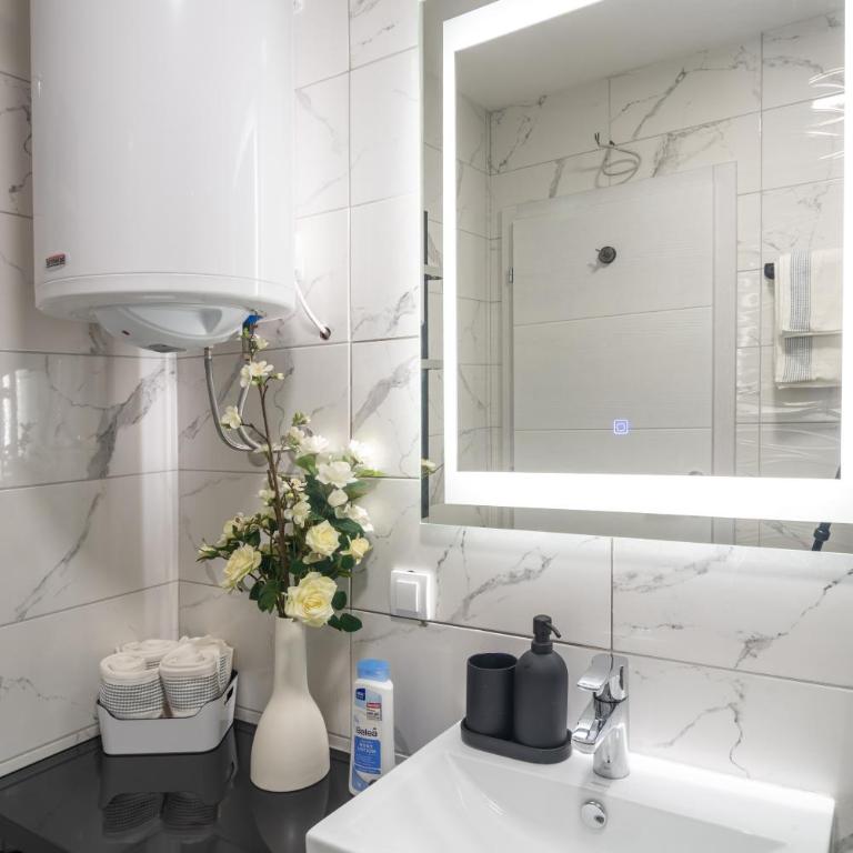 Zvezda Lux - Apartman sa 1 Spavaćom Sobom - 4
