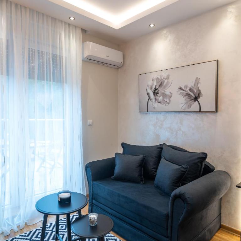 Zvezda Lux - Apartman sa 1 Spavaćom Sobom - 8