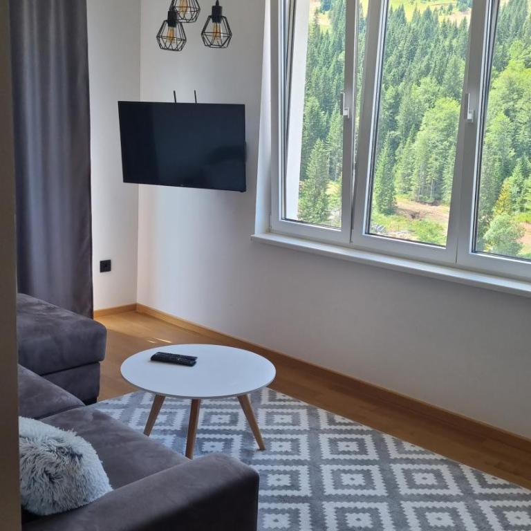 Jahorinska Vila - Apartman sa 1 Spavaćom Sobom - 3