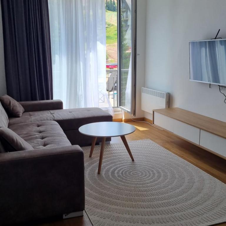 Jahorinska Vila - Apartman sa 1 Spavaćom Sobom - 5